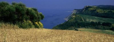 Parco del San Bartolo: una strada panoramica tra arte e natura