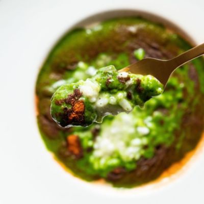 Risotto con pecorino ubriaco ed erbe amarealt