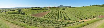 Colli Euganei, terra di vini vulcanici