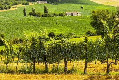 Gaeta e il vino a due passi dal mare