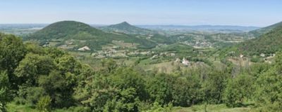 Il vino a Padova è quello dei Colli Euganei