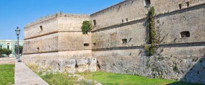 Il vigneto sul castello?Angioino!