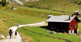 Il piacere di cambiare ritmo. In vacanza con il Dolomiti Walking Hotel