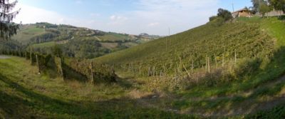 Villa Tavernago: una Cantina impegnata nel bio