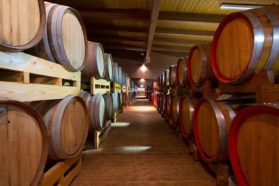 Aceto balsamico di Modena. Per valore è la quarta Igp