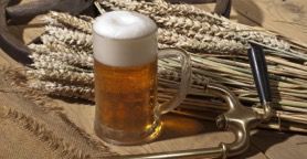 I ragazzi del '96. I pionieri della birra artigianale