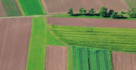 Agroalimentare. In arrivo sgravi, incentivi e l'import substitution