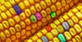 Aprire la ricerca genetica. l'appello di Confagricoltura 
