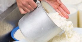 Prodotti lattiero caseari. Tendenza negativa per il 2015