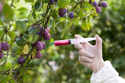 Ogm. Tutti i falsi miti sul cibo Contro natura