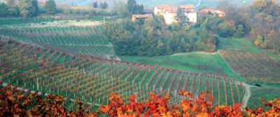 Weekend a Dogliani, la patria del Dolcetto