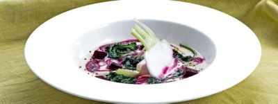 Crema di fagioli cannellini con barbabietola e semi di chiaalt
