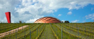 Vino e architettura. Le cantine più belle d'Italia