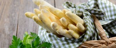 Asparago bianco di Bassano Dop