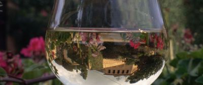 Pinot Chardonnay Spumante Brut