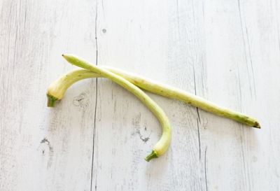 Zucchina trombetta, la zucchina di Albenga