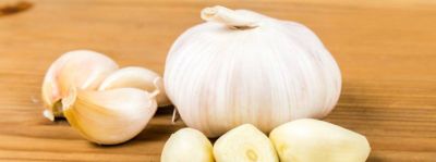 Aglio bianco di Polesano DOP