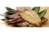 Anguilla al sale con insalatina chioggiotta e olio extravergine di oliva alt