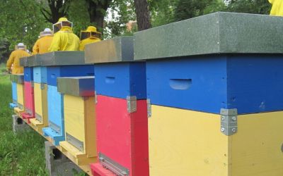 Apicoltura Casentinese sostiene la cooperativa aManiNude per la produzione apistica biologica 