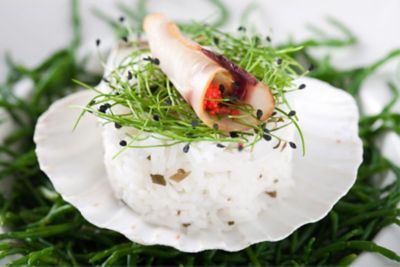 Arroz de tamborilalt
