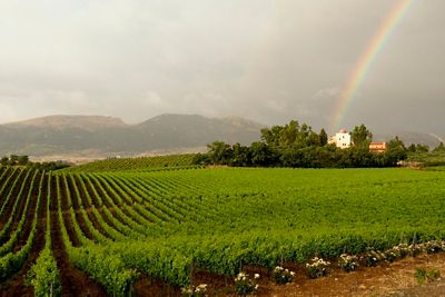 Baglio di Pianetto: la Sicilia incanta anche d'inverno