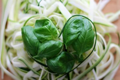 Parco del Basilico: quando l'amore per la terra fa scuola