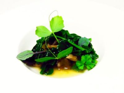 Brodo dashi vegan di funghi shiitake con cavolo neroalt