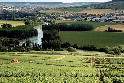 Champagne Ardenne  l'arte di vivere tra le vigne