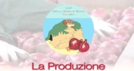 Cipolla rossa di Tropea Calabria Igp: l'oro rosso della costa calabrese