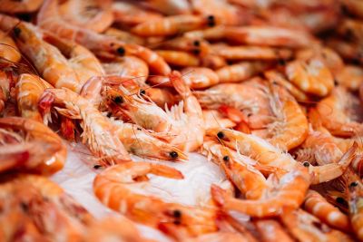Tutto quello che dovete sapere per comprare i gamberi migliori