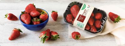 Fragole: ricette e consigli per cucinarle e servirle