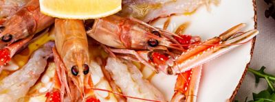 come-cucinare-scampi-surgelati