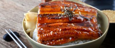 Unagi e anago: come mangiare l'anguilla alla giapponese