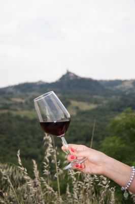 Con un calice di vino e il naso all'ins�