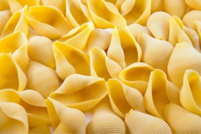 Conchiglioni al ragù di coniglio e formaggio di fossaalt