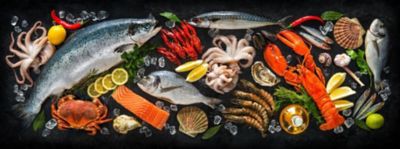 Conservazione del pesce: come conservare il pesce in frigo e in freezer