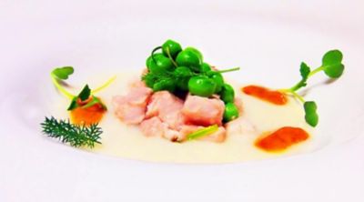 Coniglio con crema di patate e ricci di marealt