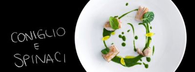 Coniglio scottato e crema di spinacialt