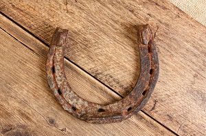 Continua lo scandalo della carne di cavallo