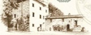 Degustazione di olio e vino della Fattoria di Peruzzo