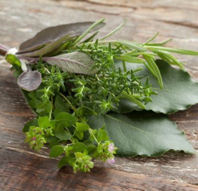 Erbette di Provenza, come usarle in cucina