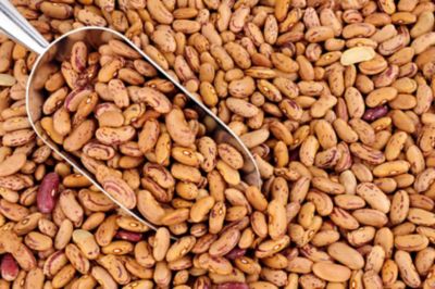 Fagioli Bataviaalt