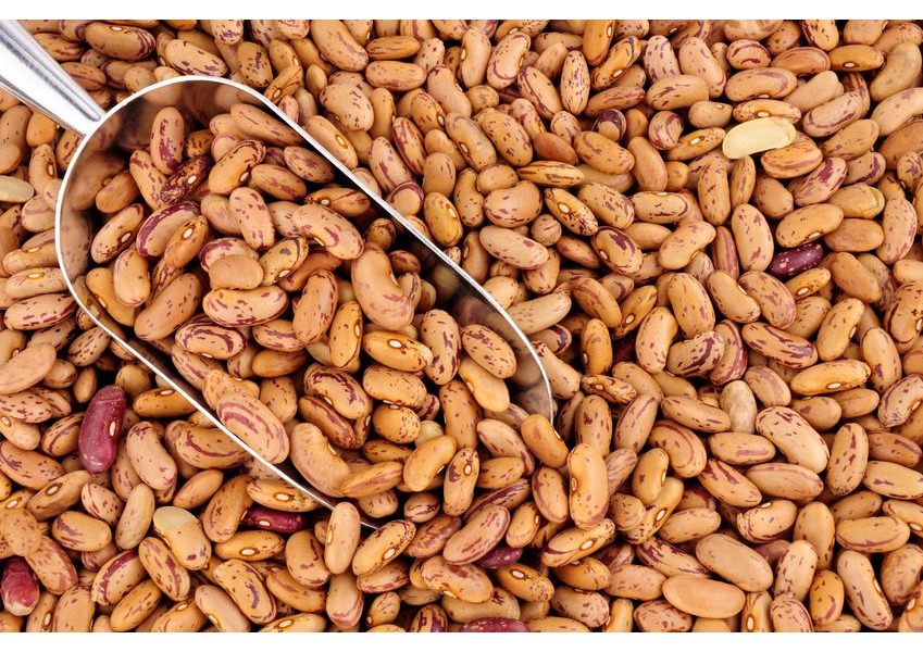 Fagioli Batavia