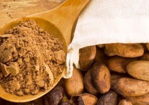 Fairtrade d� il benvenuto alla Costa d'Avorio in Expo