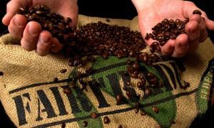 Fairtrade, vent'anni di sostenibilità sociale e ambientale
