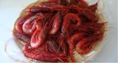 Filetto di rombo con coulis di crostacei in crosta di zucchinealt