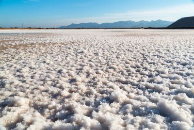 Fior di sale della Sardegna
