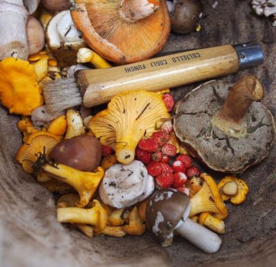 Le verdure di ottobre: la spesa del mese