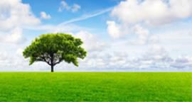 Il vetro è il miglior alleato dell'ambiente
