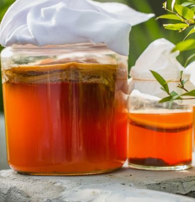 Kombucha: il tè antico e le sue proprietà